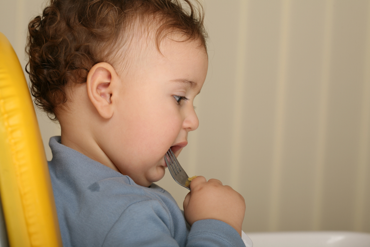 toddler lunch time